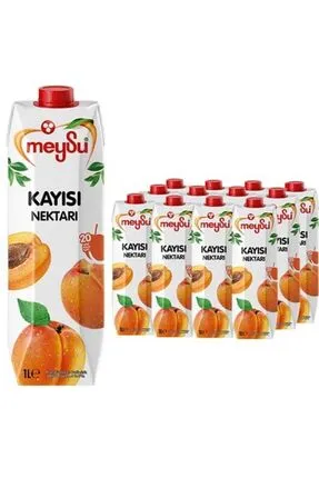 MEYSU%20MEYVE%20SUYU%20NEKTARI%20KAYISI%201%20LT%2012%20Lİ